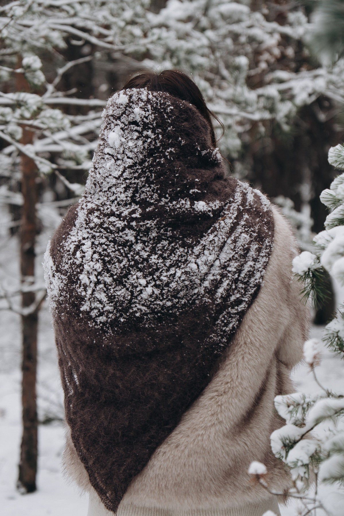 Cloudloom Shawl, alpaca wool openwork scarf, brown