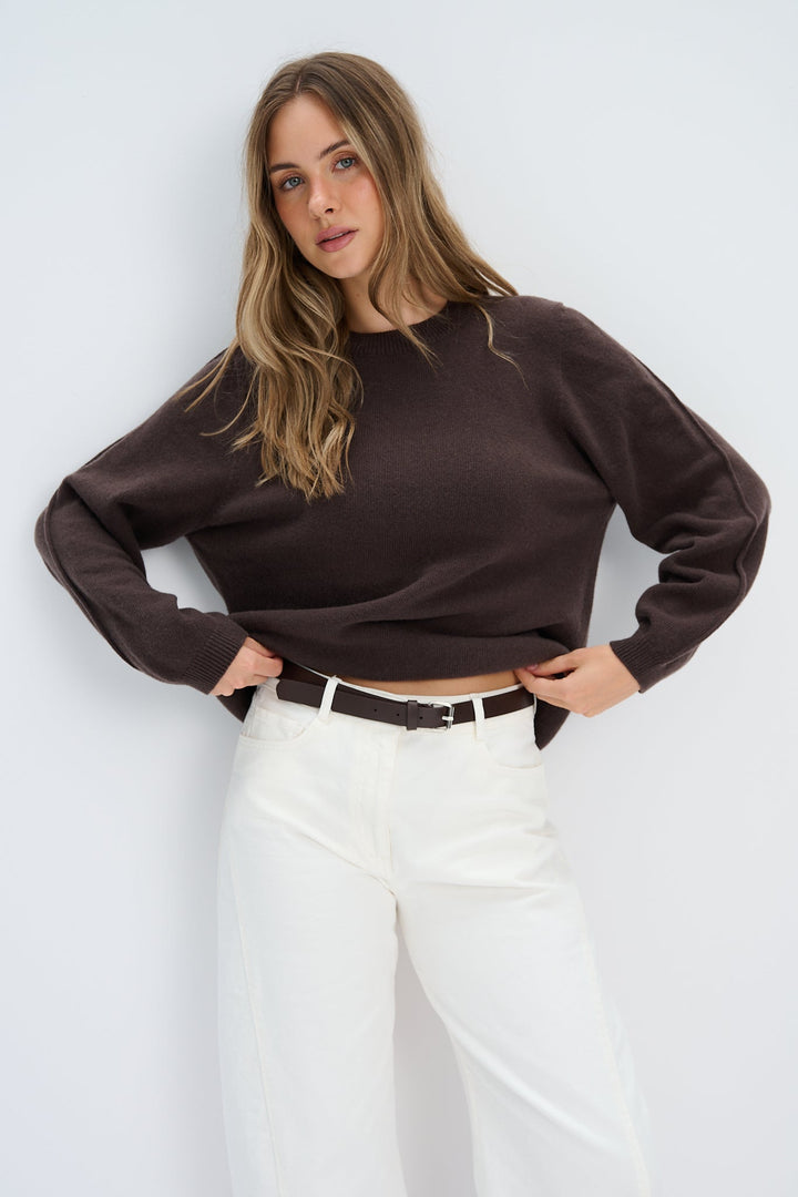 Softscape Cashmere and Merino Wool Sweater Brown